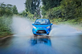 19年新能源汽車銷量盤點 微型車市場格局生變，奇瑞小螞蟻跌出前五